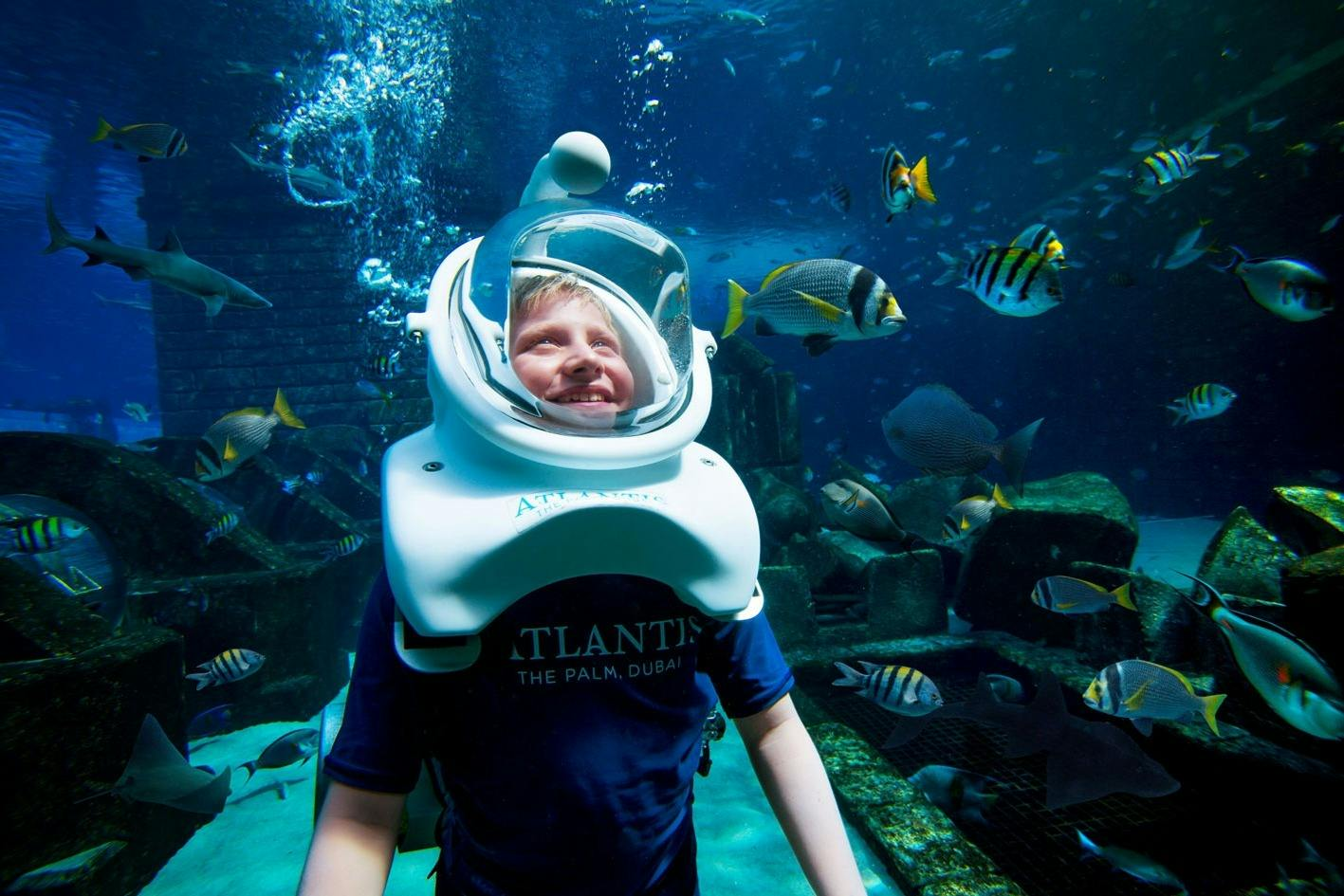 Aquaventure World: Waterpark Day Pass + Shark Snorkel or Safari - Photo 1 of 3